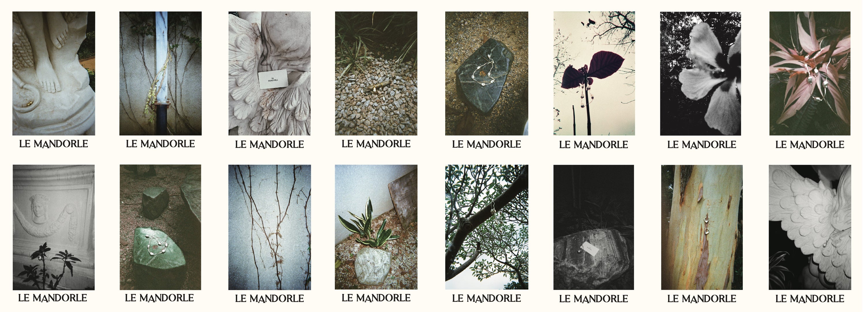 INTERVIEW - LE MANDORLE