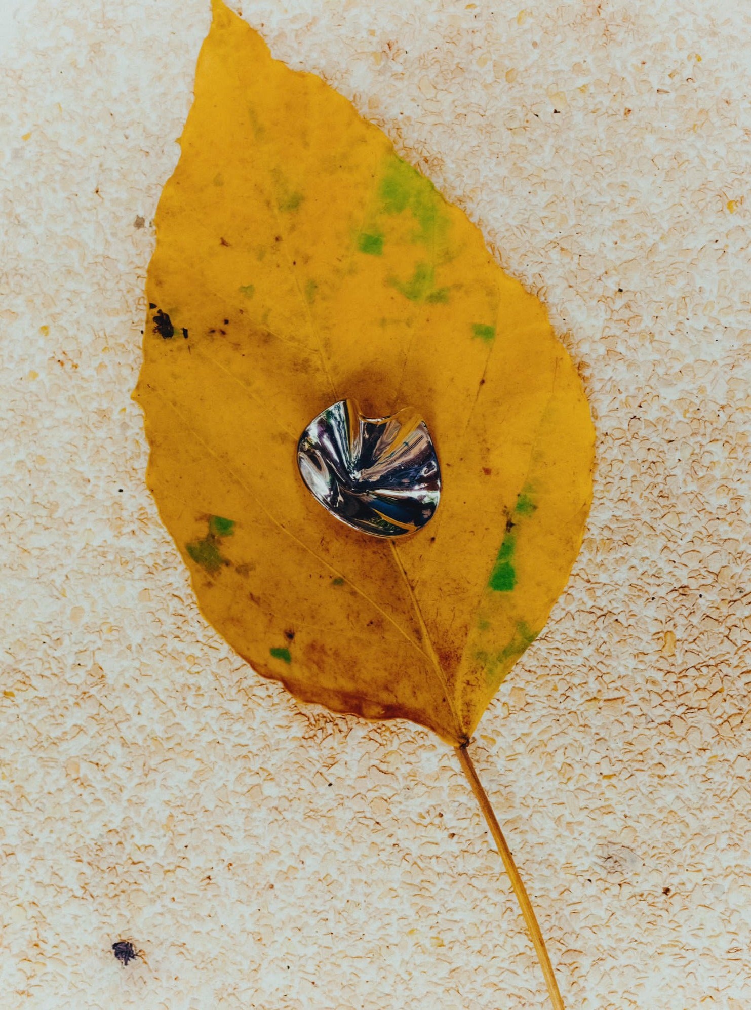 Petal Earring