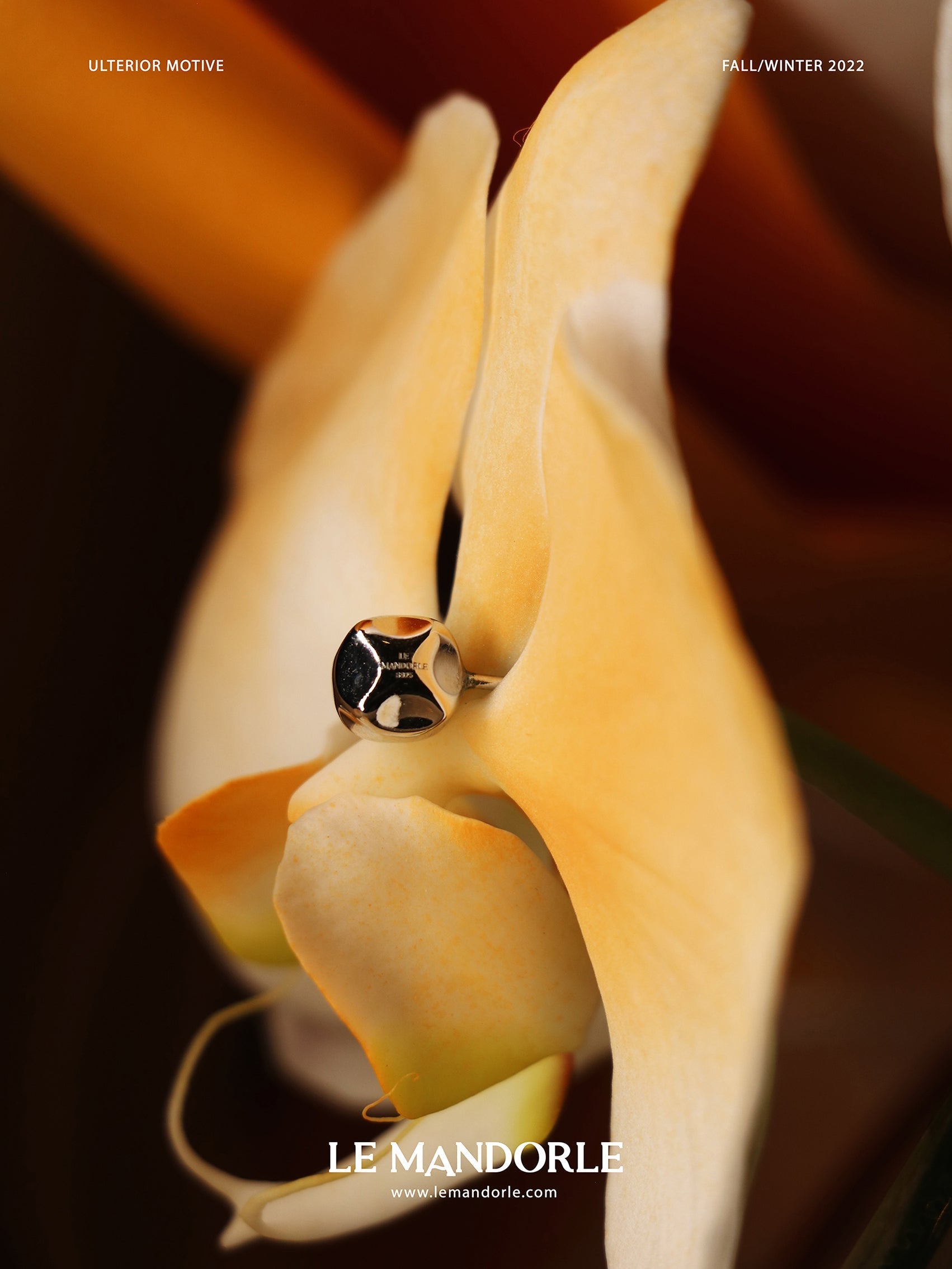 Box Stud Earring - LE MANDORLE